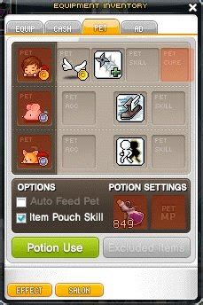 Pet snack maplestory  Take this treat to Trainer